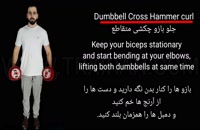 Dumbbell cross Hammer curl/جلو بازو دمبل چکشی متقاطع