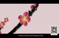 دانشگاه ustc چین