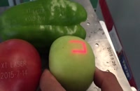 دستگاه مارک لیزر Co2 برای علامت گذاری برای سبزیجات و میوه ها