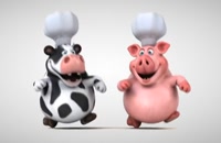 ویدیو فوتیج گاو و خوک