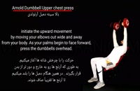 Arnold dumbbell upper chest press/پرس سینه بالا سینه آرنولدی