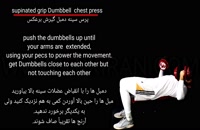 Dumbbell chest press supinated grip/پرس سینه با دمبل دست برعکس