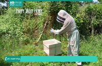 منابع آموزش زنبورداری و پرورش زنبور عسل