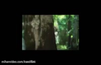 دانلود فیلم سینمایی آهوی پیشونی سفید 3 | نماشا