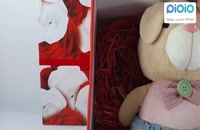 کادو آماده ولنتاین با عروسک خرگوش Duoai