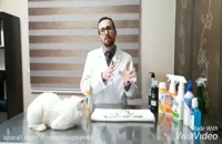 آموزش نظافت حیوانات خانگی