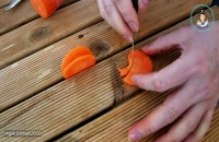 تزیین سالاد با هویج به شکل قو
