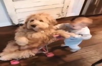 کودک بامزه همراه با سگ