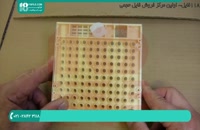 بهترین فیلم های آموزش زنبورداری در ایران