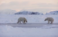 دانلود مستند سیاره یخ‌ زده 2022 قسمت 2