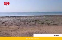 زیباسازی ساحل بوشهر در حریم آزادشده دریا