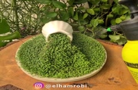 آموزش سبزه عید 1401 با تخم شربتی و ریحون