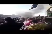ماجرای جنجالی سوزاندن 72کبوتر زنده در زنجان