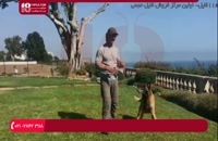 آموزش تربیت سگ - سه قانون برای صاحبان سگ جدید (1)