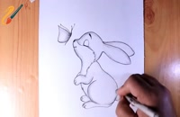 آموزش نقاشی حیوانات - خرگوش