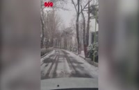 تصاویری از بارش برف در تهران