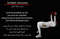 Dumbbell chest press/پرس سینه با دمبل