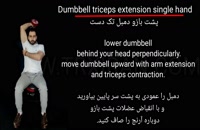 Dumbbell triceps extension single hand/پشت بازو دمبل تک دست