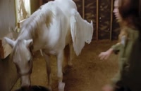 تریلر فیلم پگاسوس: پونی با یک بال شکسته Pegasus: Pony with a Broken Wing 2019 سانسور شده