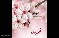 کلیپ پیشاپیش عید نوروز مبارک/کلیپ زیبا برای نوروز و بهار