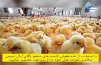 صفر تا صد پرورش مرغ با محصولات آرال شیمی
