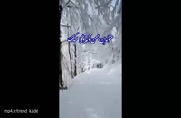 کلیپ بهمن ماهی ها - کلیپ شاد تولد