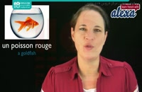 جامع ترین آموزش اسم حیوانات خانگی به زبان فرانسه