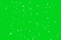 پرده سبز بارش برف