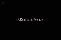 یک روز بارانی در نیویورک