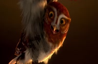 انیمیشن افسانه محافظان: جغدهای گاهول Legend of the Guardians: The Owls of Ga’Hoole 2010 با دوبله فارسی