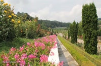 تصاویری دیدنی از باغ گیاه شناسی جیبو