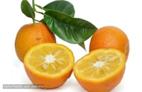 خواص میوه ی نارنج -  کلیپ پزشکی