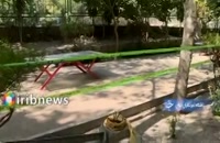 ماجرای مرگ نوجوان ۱۴ساله در پارک لاله تهران +فیلم