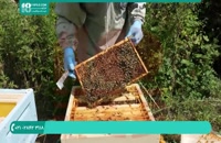 ابزار کار زنبورداری