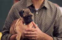 تریلر سریال خانه ای برای سگ ها Puppy Place 2021 سانسور شده