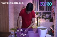 آموزش تصویری کاشت زعفران در گلدان