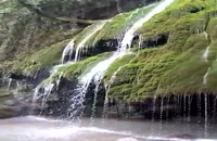 آبشار همیشه سبز کبود وال