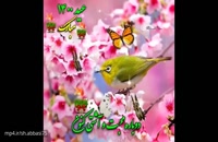 کلیپ تبریک عید نوروز ۱۴۰۰ / اهنگ گروهی شاد