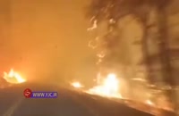 بزرگترین آتش سوزی گسترده‌ در کالیفرنیا