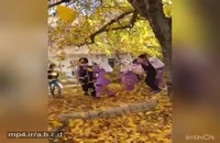 دانلود کلیپ زیبا پاییز داره میاد