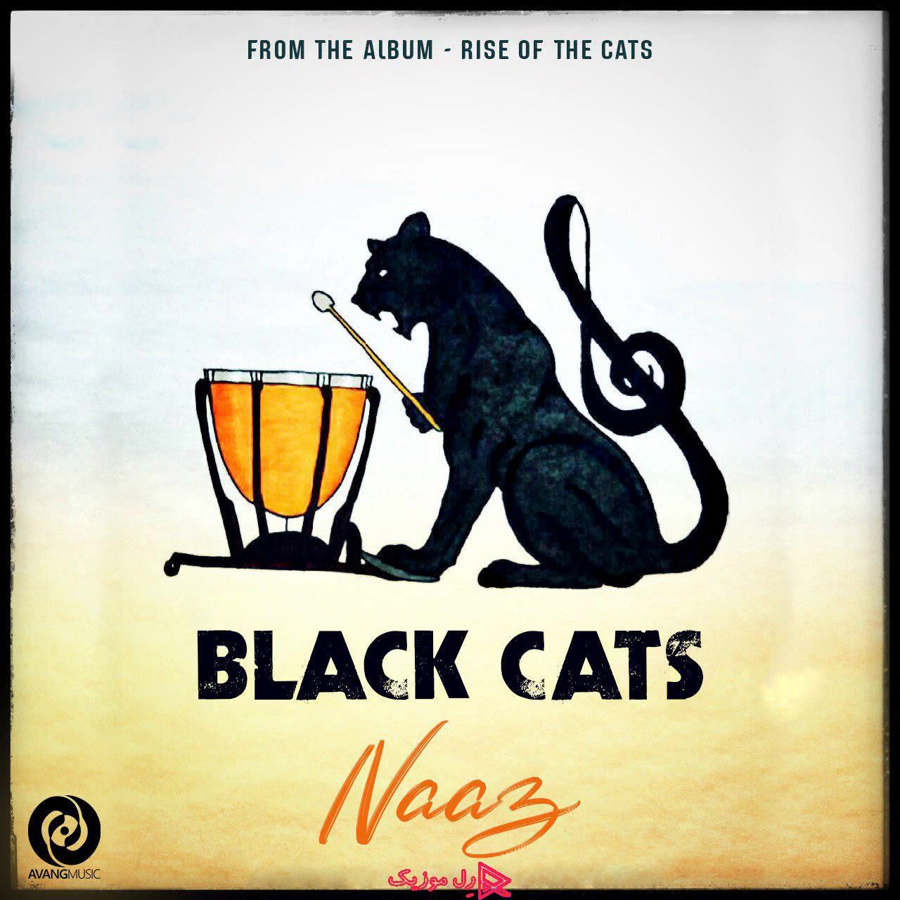 Черный кот песня mp3. Black Cat Ереван меню. Черная кошка на кухне. Виска ная кошка.