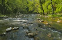 Relaxing River