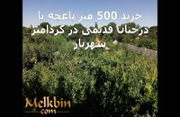 500 متر باغچه ی مشجر با قابلیت ساخت ویلا در شهریار