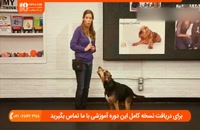 کنترل رفتارهای نامناسب سگ با آموزش فرمان نشستن