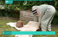 کاملترین پکیج آموزش زنبورداری در ایران