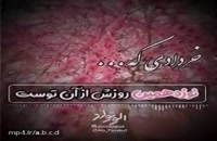 دانلود کلیپ تبریک تولد 19 خرداد