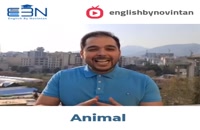اصطلاحات انگلیسی مربوط به حیوانات (1)