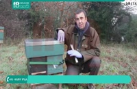 آموزش زنبورداری|پرورش زنبور عسل|تولید عسل(زنبوردار و استفاده بهینه از جریان شهد در طبیعت)