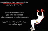Dumbbell upper chest press neutral grip/پرس بالا سینه با دمبل گیرش موازی