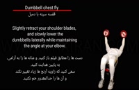 Dumbbell chest fly_قفسه سینه با دمبل